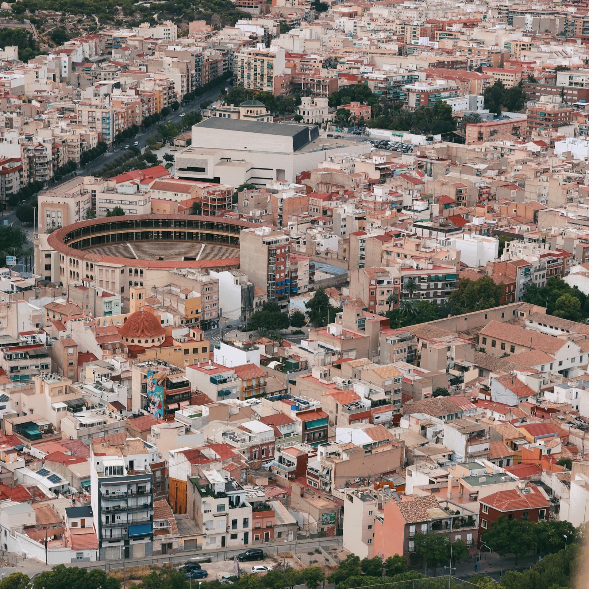 Alicante 5