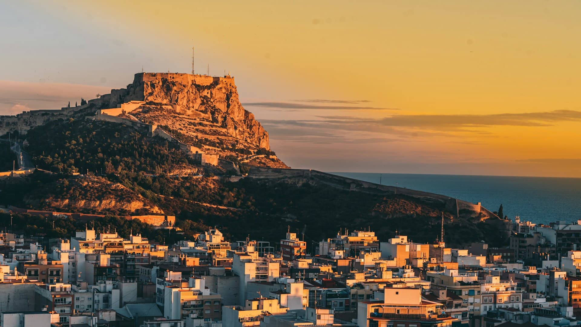 Alicante 7