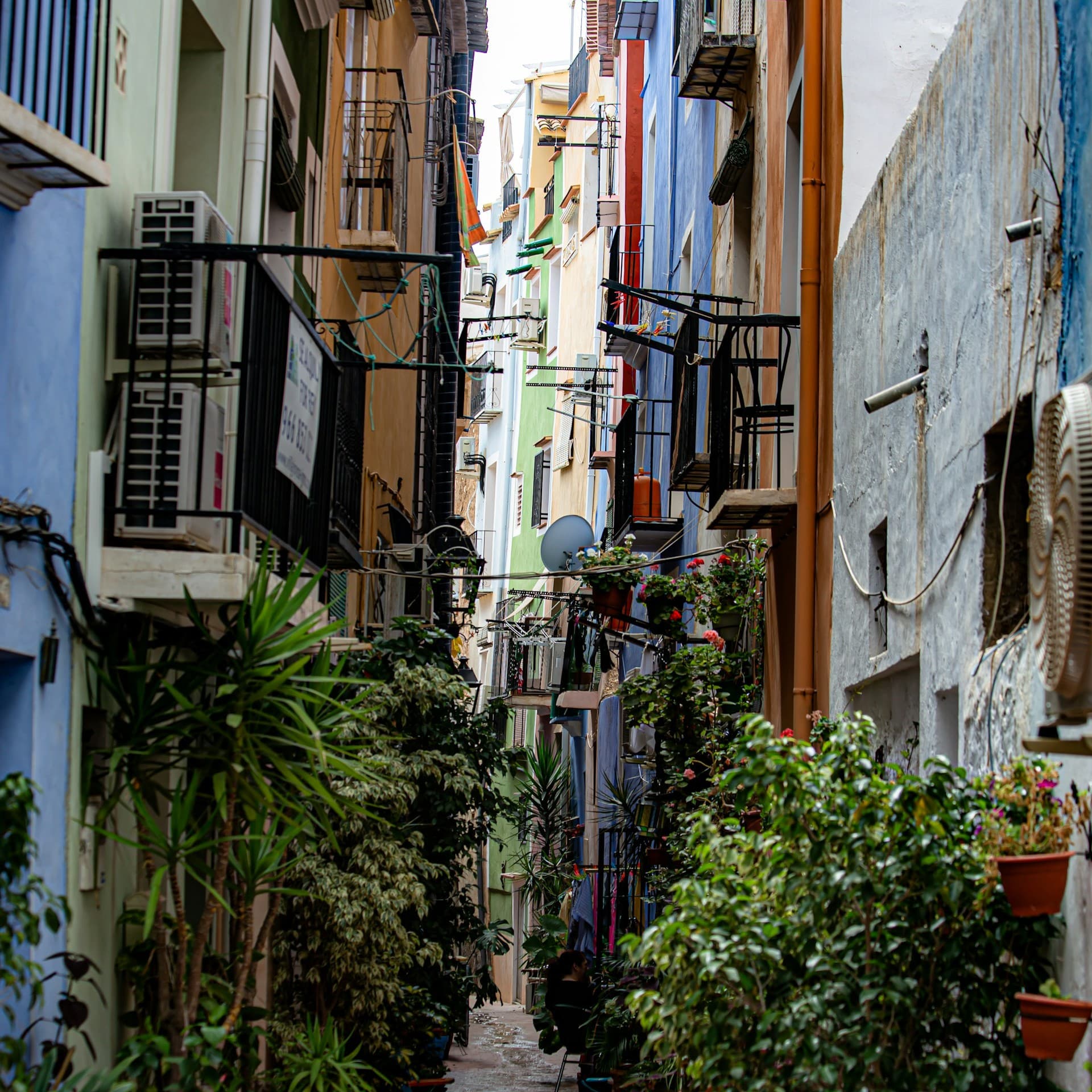Alicante 8