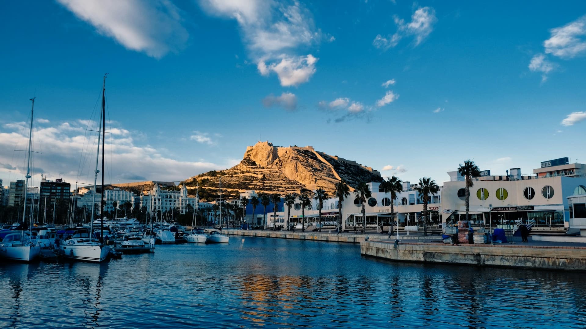 Alicante 3