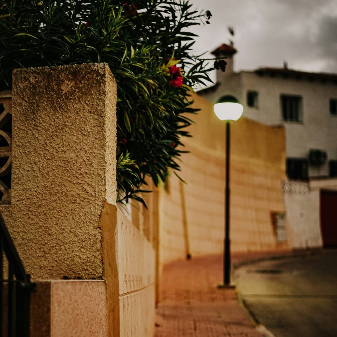 Torrevieja 7